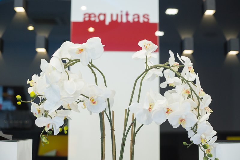 Aequitas - Societate Profesionala Notariala